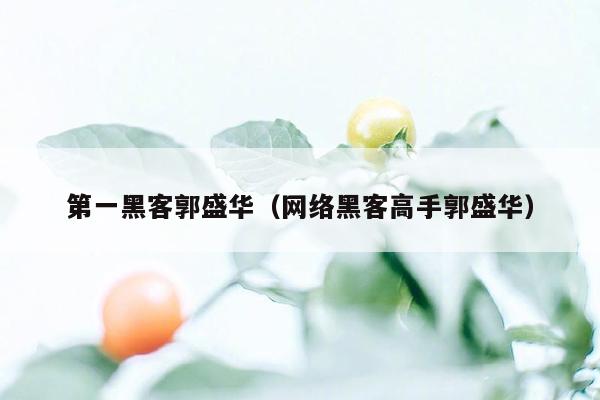 第一黑客郭盛华（网络黑客高手郭盛华）