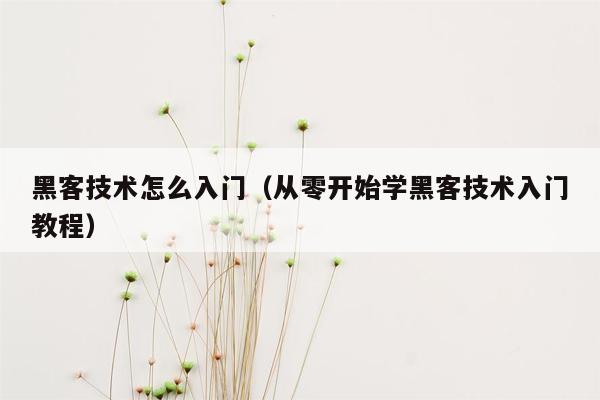 黑客技术怎么入门（从零开始学黑客技术入门教程）