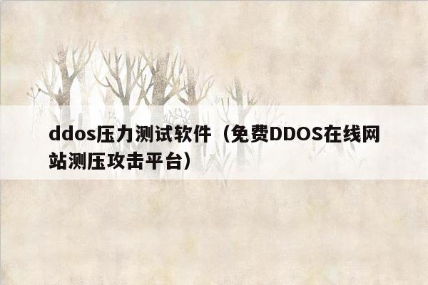 ddos压力测试软件（免费DDOS在线网站测压攻击平台）