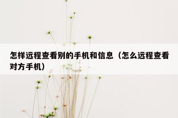 怎样远程查看别的手机和信息（怎么远程查看对方手机）