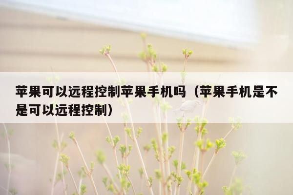 苹果可以远程控制苹果手机吗（苹果手机是不是可以远程控制）