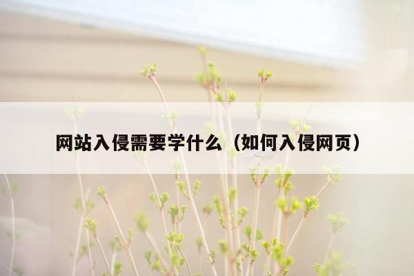 网站入侵需要学什么（如何入侵网页）