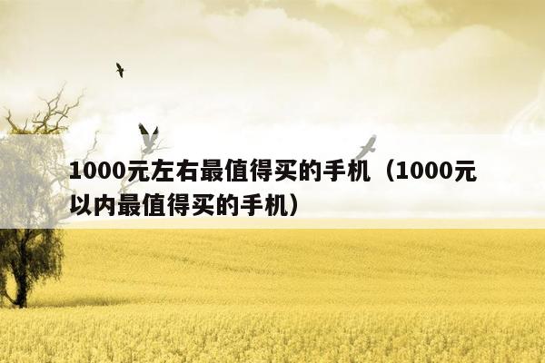 1000元左右最值得买的手机（1000元以内最值得买的手机）