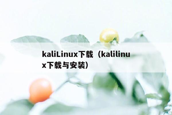 kaliLinux下载（kalilinux下载与安装）