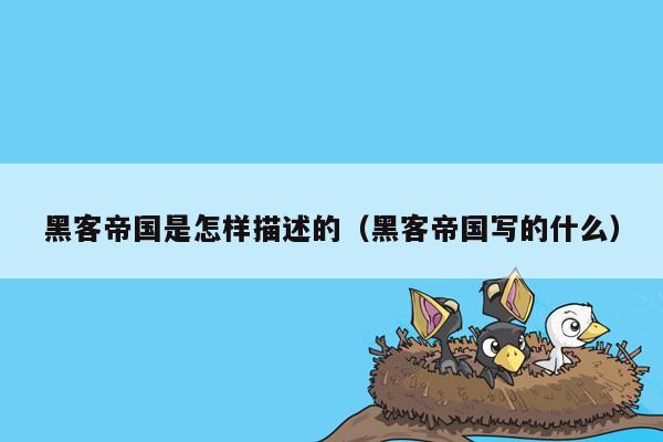 黑客帝国是怎样描述的（黑客帝国写的什么）