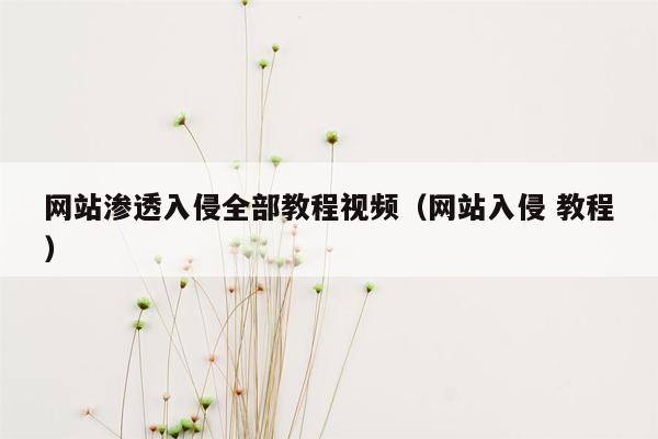 网站渗透入侵全部教程视频（网站入侵 教程）