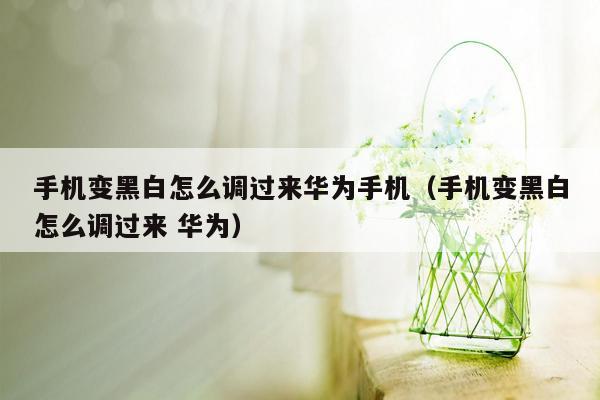 手机变黑白怎么调过来华为手机（手机变黑白怎么调过来 华为）