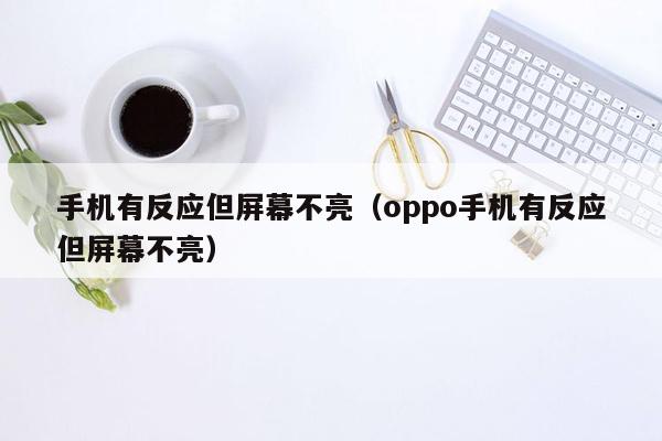 手机有反应但屏幕不亮（oppo手机有反应但屏幕不亮）