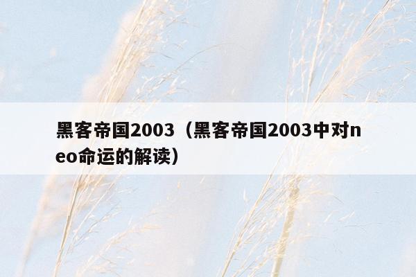 黑客帝国2003（黑客帝国2003中对neo命运的解读）