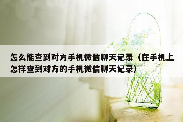 怎么能查到对方手机微信聊天记录（在手机上怎样查到对方的手机微信聊天记录）