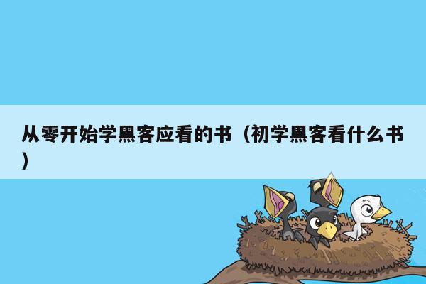 从零开始学黑客应看的书（初学黑客看什么书）