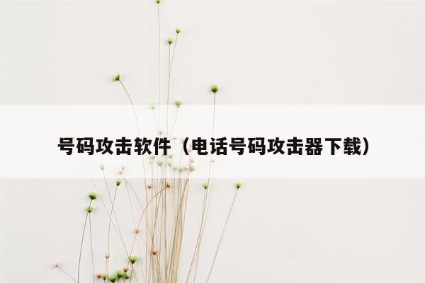 号码攻击软件（电话号码攻击器下载）