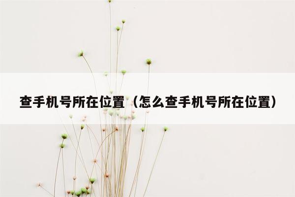 查手机号所在位置（怎么查手机号所在位置）