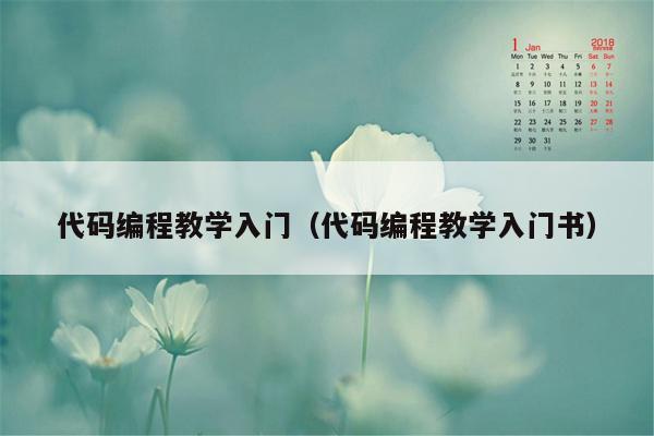 代码编程教学入门（代码编程教学入门书）