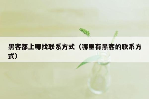 黑客都上哪找联系方式（哪里有黑客的联系方式）