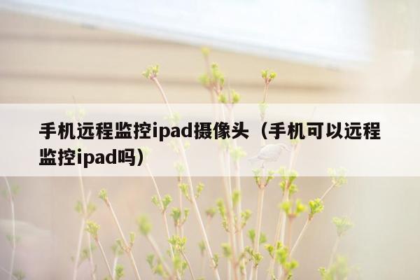 手机远程监控ipad摄像头（手机可以远程监控ipad吗）