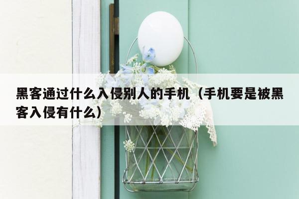 黑客通过什么入侵别人的手机（手机要是被黑客入侵有什么）