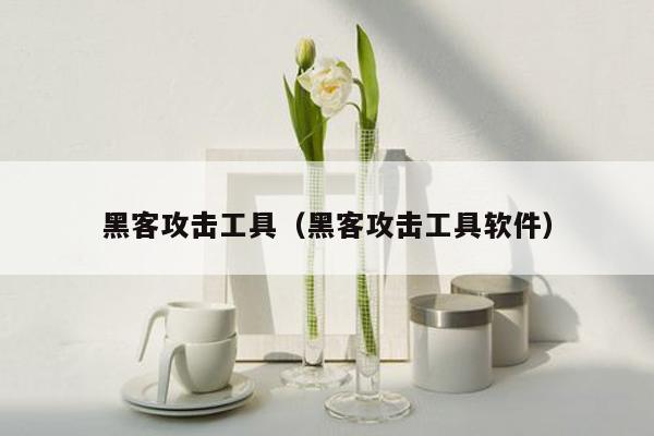 黑客攻击工具（黑客攻击工具软件）