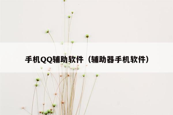 手机QQ辅助软件（辅助器手机软件）