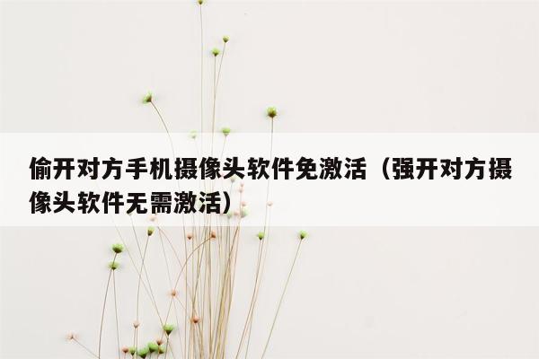 偷开对方手机摄像头软件免激活（强开对方摄像头软件无需激活）