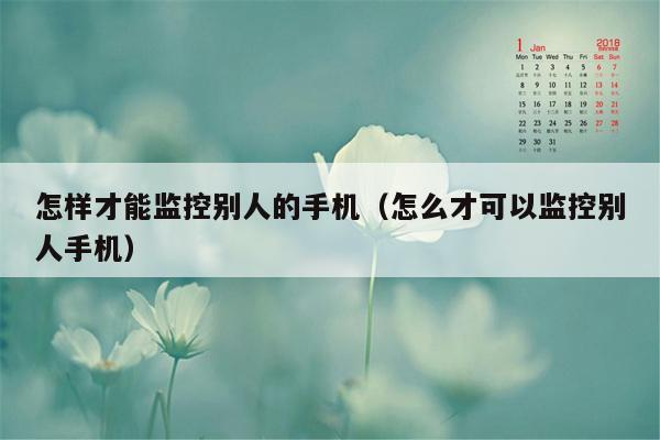 怎样才能监控别人的手机（怎么才可以监控别人手机）