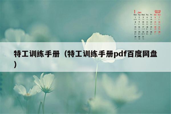 特工训练手册（特工训练手册pdf百度网盘）