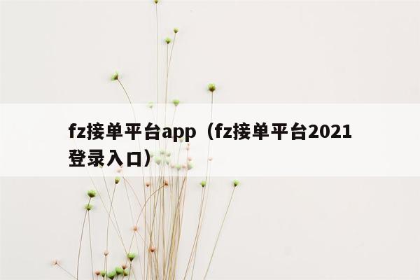 fz接单平台app（fz接单平台2021登录入口）