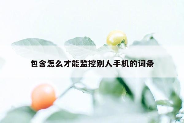 包含怎么才能监控别人手机的词条