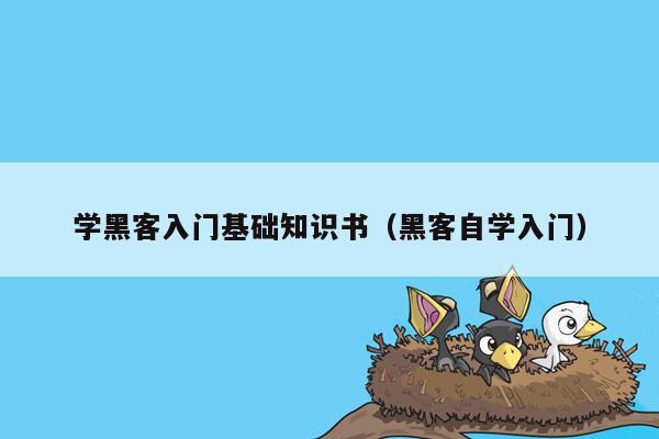 学黑客入门基础知识书（黑客自学入门）