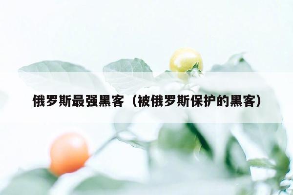 俄罗斯最强黑客（被俄罗斯保护的黑客）