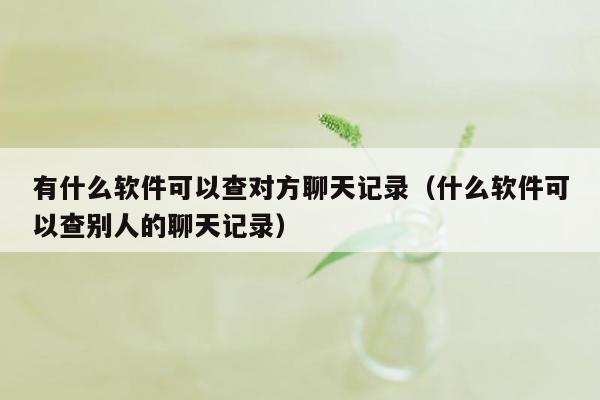 有什么软件可以查对方聊天记录（什么软件可以查别人的聊天记录）