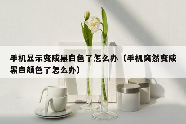 手机显示变成黑白色了怎么办（手机突然变成黑白颜色了怎么办）