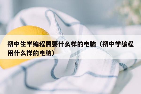 初中生学编程需要什么样的电脑（初中学编程用什么样的电脑）