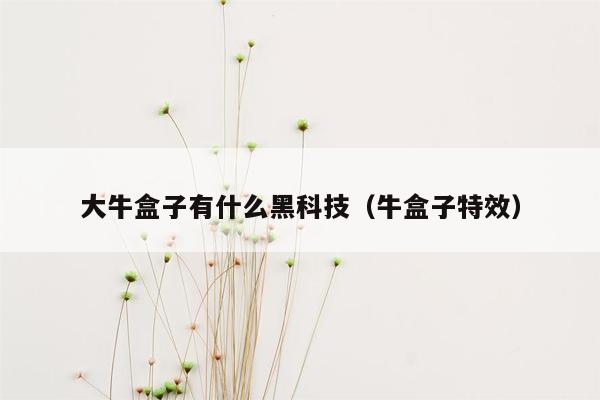 大牛盒子有什么黑科技（牛盒子特效）