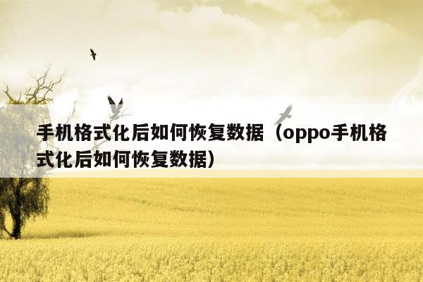 手机格式化后如何恢复数据（oppo手机格式化后如何恢复数据）