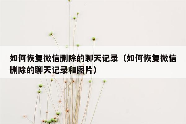 如何恢复微信删除的聊天记录（如何恢复微信删除的聊天记录和图片）