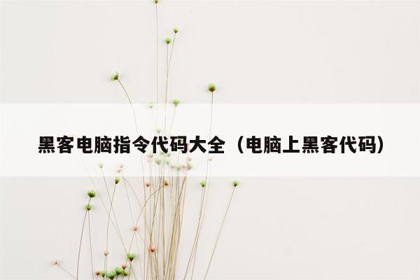 黑客电脑指令代码大全（电脑上黑客代码）