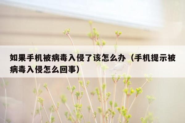 如果手机被病毒入侵了该怎么办（手机提示被病毒入侵怎么回事）