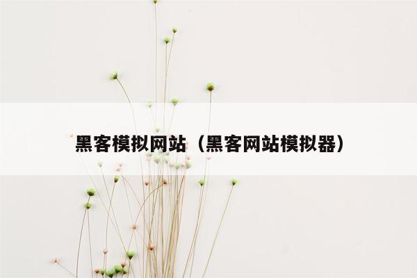 黑客模拟网站（黑客网站模拟器）