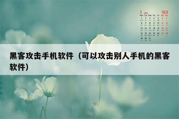 黑客攻击手机软件（可以攻击别人手机的黑客软件）