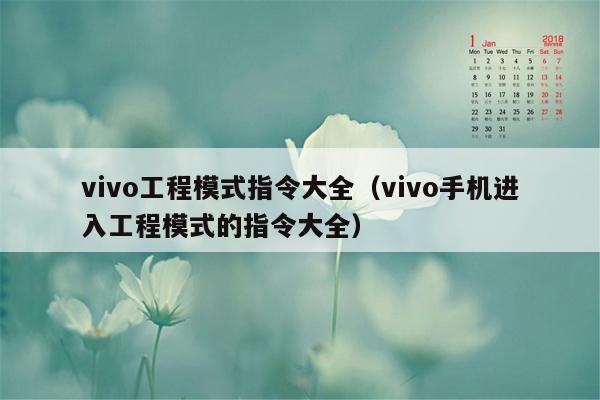 vivo工程模式指令大全（vivo手机进入工程模式的指令大全）