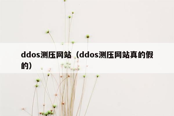 ddos测压网站（ddos测压网站真的假的）