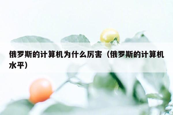 俄罗斯的计算机为什么厉害（俄罗斯的计算机水平）