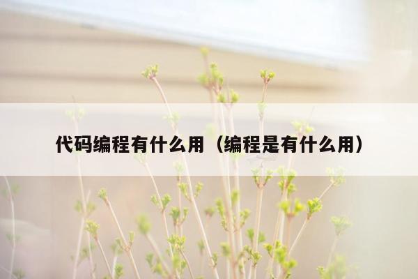 代码编程有什么用（编程是有什么用）