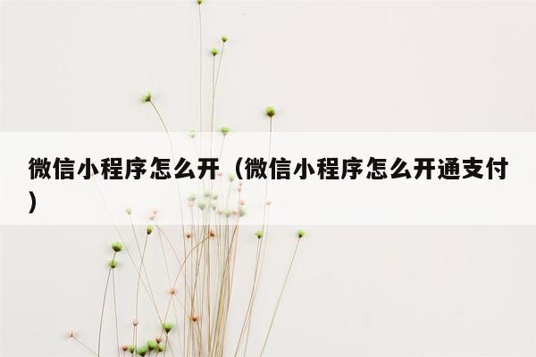 微信小程序怎么开（微信小程序怎么开通支付）