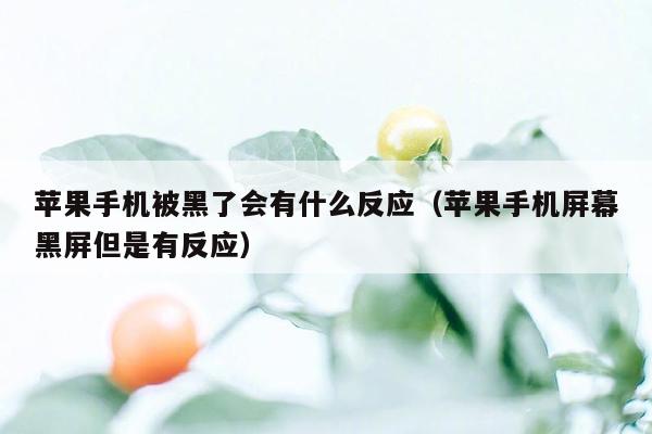 苹果手机被黑了会有什么反应（苹果手机屏幕黑屏但是有反应）