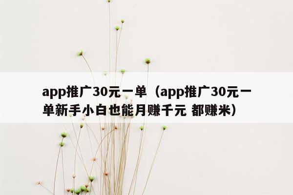 app推广30元一单（app推广30元一单新手小白也能月赚千元 都赚米）