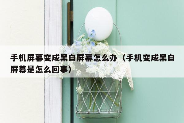 手机屏幕变成黑白屏幕怎么办（手机变成黑白屏幕是怎么回事）