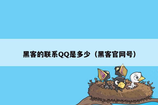 黑客的联系QQ是多少（黑客官网号）