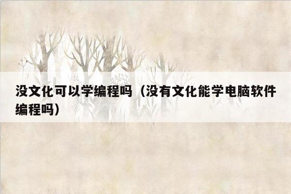 没文化可以学编程吗（没有文化能学电脑软件编程吗）